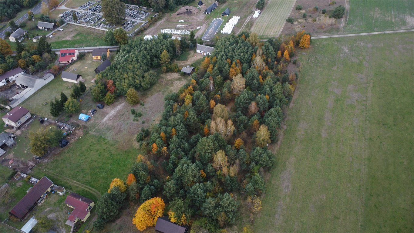 Działka budowlana na sprzedaż Cielętniki  13 500m2 Foto 5