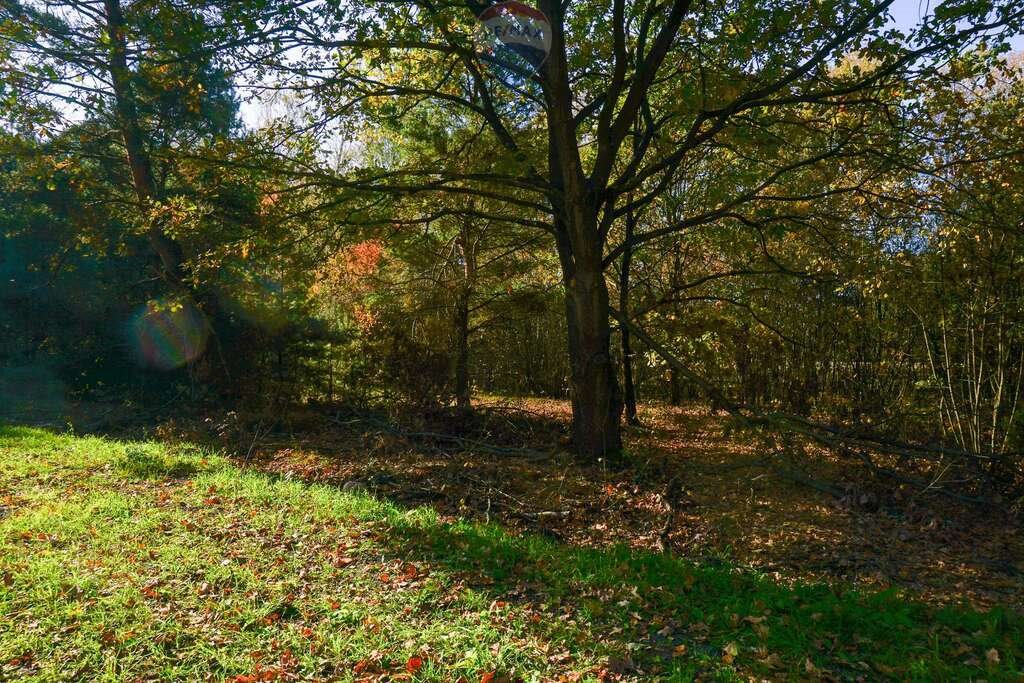 Działka budowlana na sprzedaż Puszcza Mariańska, Akacjowa  1 300m2 Foto 3