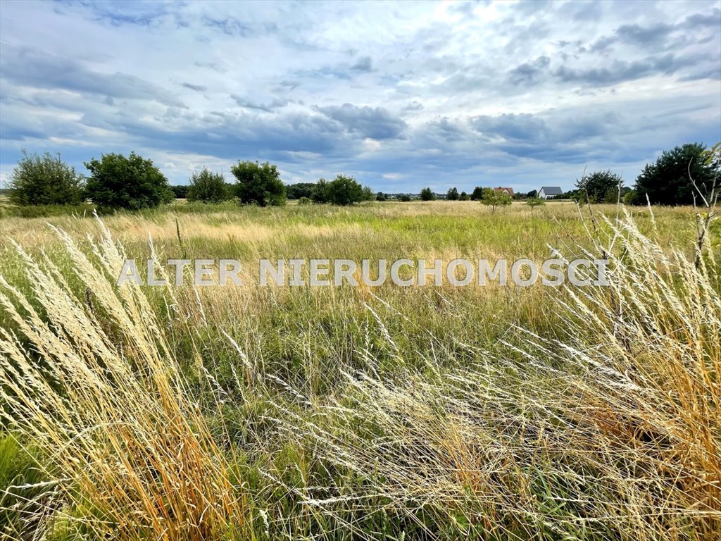 Działka inna na sprzedaż Dobrzyniewo Duże, Nowe Aleksandrowo  1 257m2 Foto 5