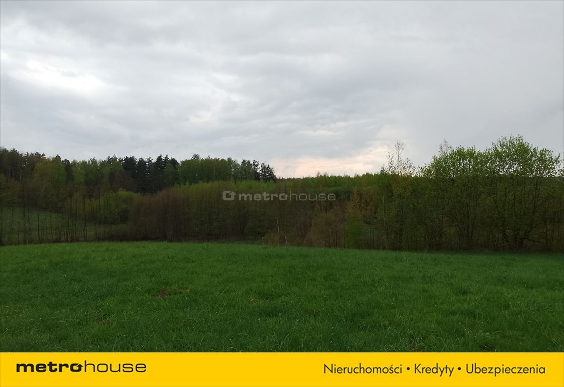 Działka rolna na sprzedaż Florczaki  10 900m2 Foto 2