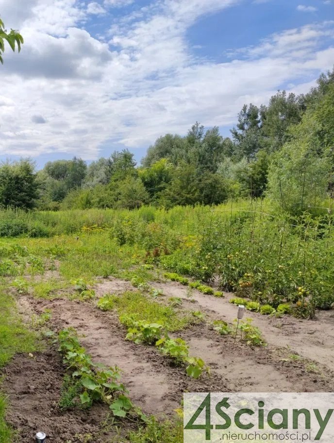 Działka budowlana na sprzedaż Chrzanów Mały  736m2 Foto 1