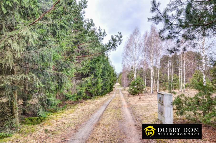 Działka budowlana na sprzedaż Płaska  1 000m2 Foto 6