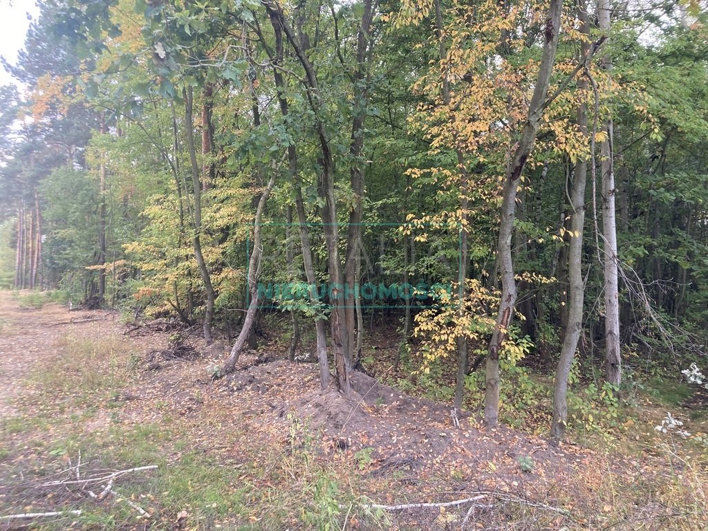 Działka 1600 m² z warunkami zabudowy, blisko WKD Kady  1 600m2 Foto 1