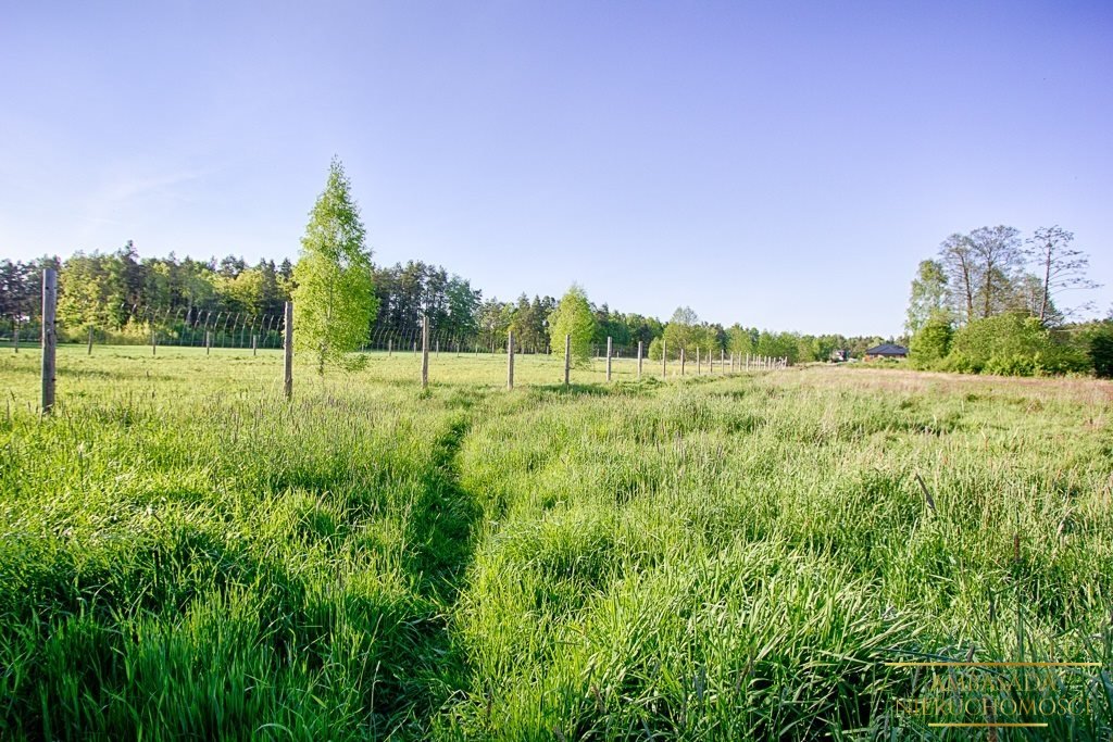 Działka inna na sprzedaż Knyszyn  7 964m2 Foto 1