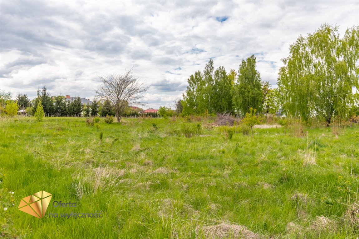 Działka rolna na sprzedaż Kamień  1 420m2 Foto 7