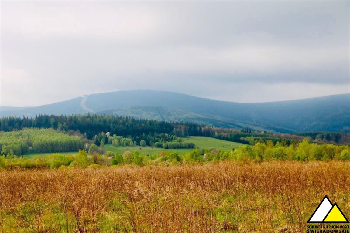 Działka budowlana na sprzedaż Świeradów-Zdrój, Jarzębinowa  1 534m2 Foto 2