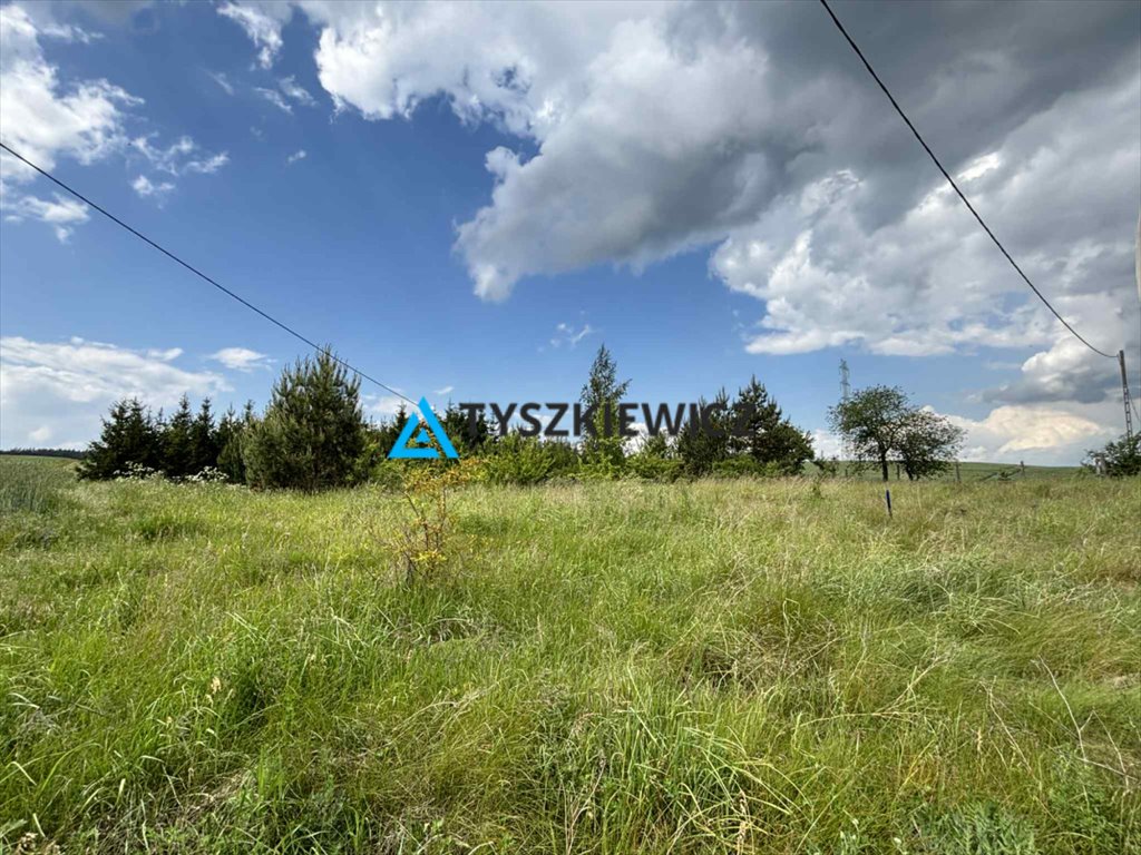 Działka 3000 m2 w Kolinczu – cisza, las i blisko Starogardu Kolincz  3 000m2 Foto 1
