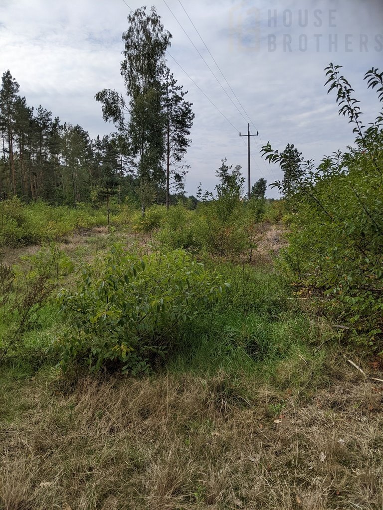 Działka rolna na sprzedaż Chełsty  3 000m2 Foto 4