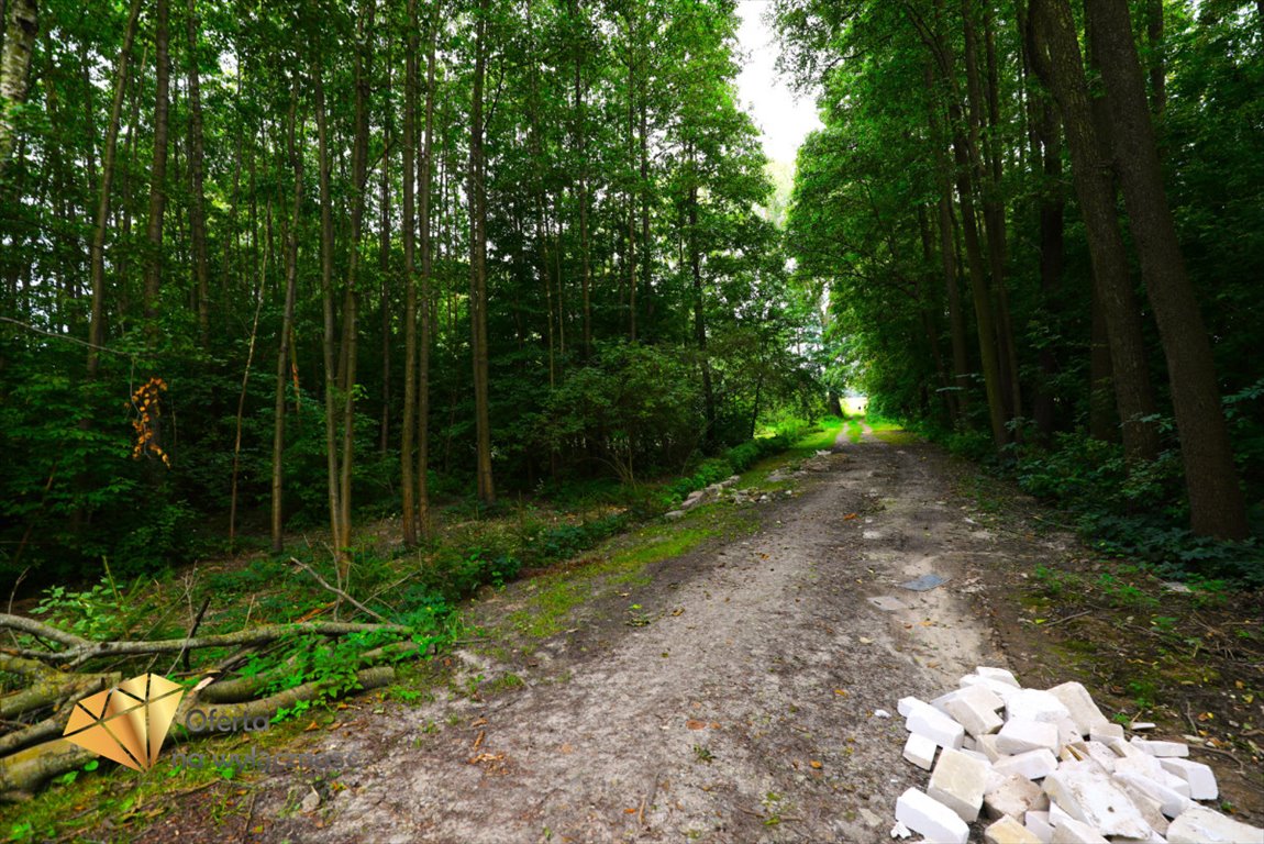 Działka rolna na sprzedaż Motycz  1 300m2 Foto 5