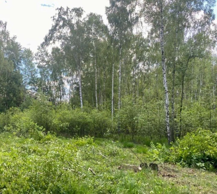 Działka budowlana na sprzedaż Łosie  1 000m2 Foto 3