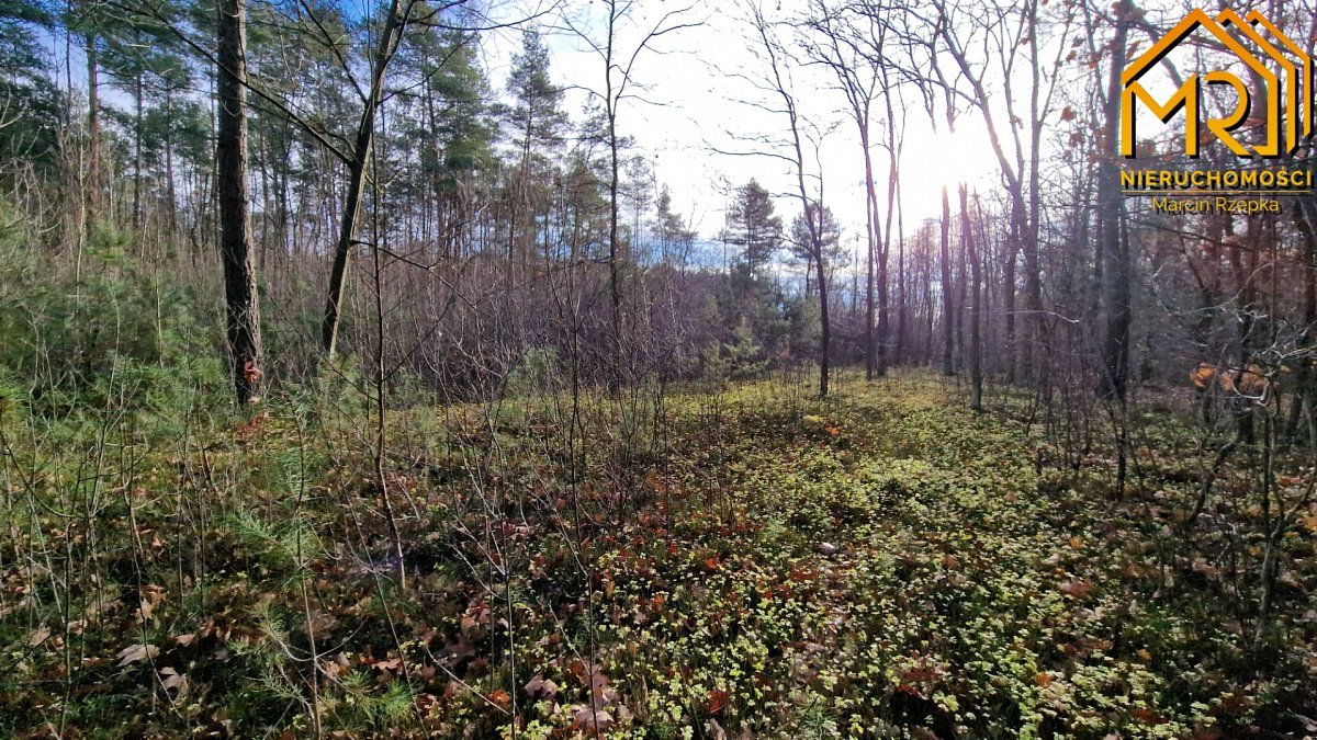 Działka rolna na sprzedaż Stare Żukowice  2 200m2 Foto 7