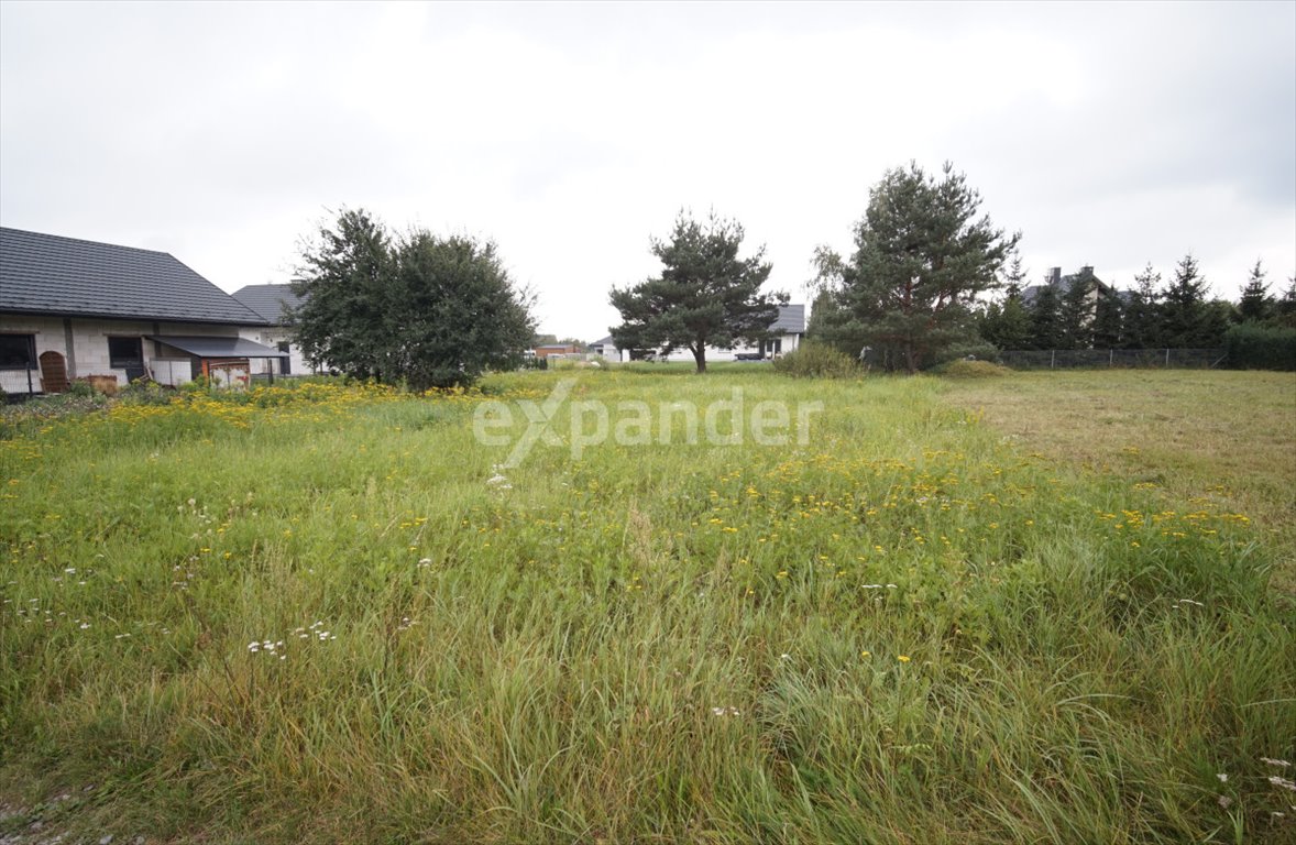 Działka budowlana na sprzedaż Rudna Mała, Modrzewiowa  988m2 Foto 1