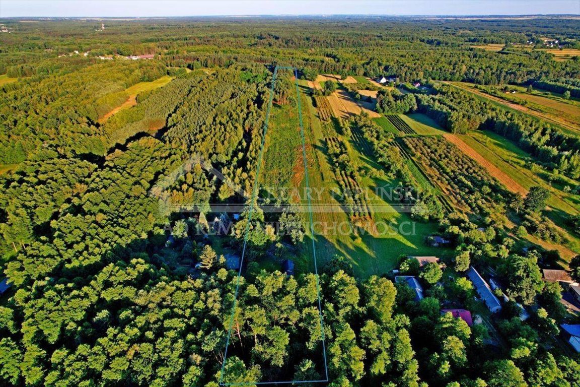 Lokal użytkowy na sprzedaż Poniatowa, Leśniczówka, Leśniczówka  21 671m2 Foto 13