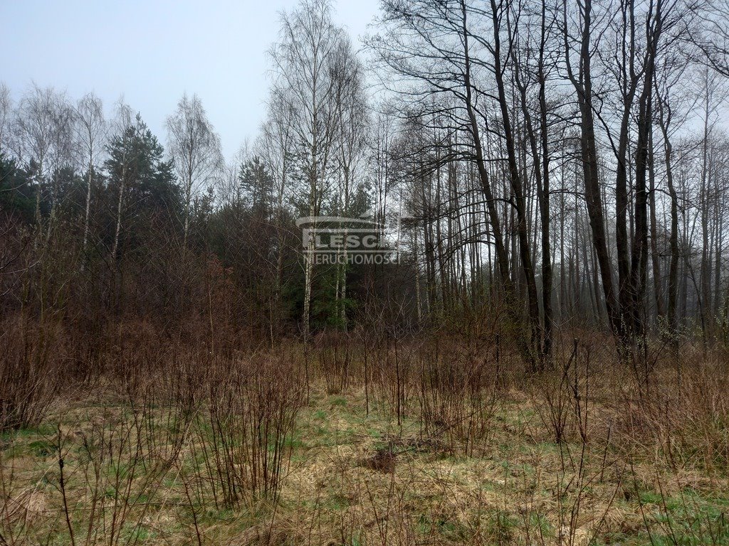 Działka budowlana na sprzedaż Bartoszówka  1 313m2 Foto 5