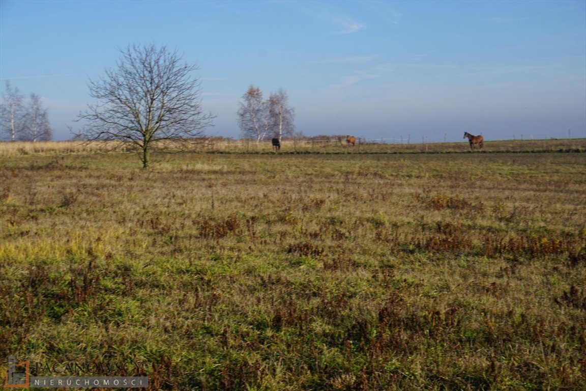 Działka budowlana na sprzedaż Iwanowice Włościańskie  15 000m2 Foto 1