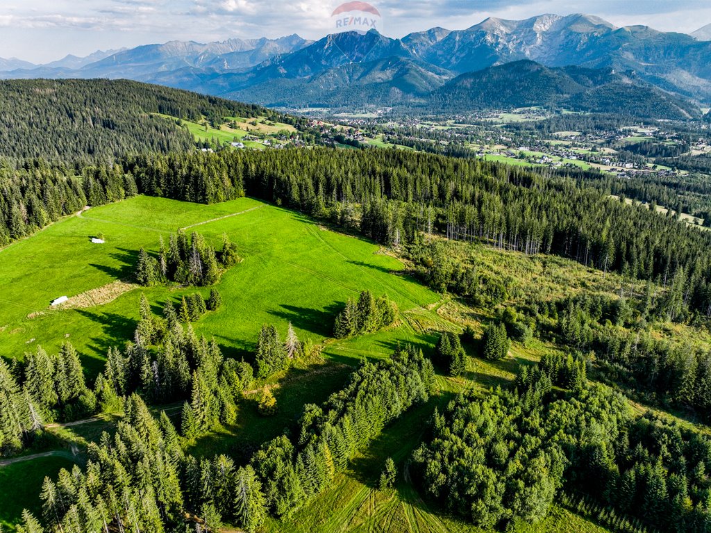 Działka rolna na sprzedaż Dzianisz  6 560m2 Foto 1