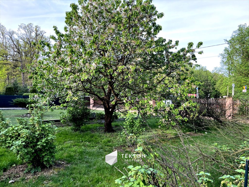 Mieszkanie czteropokojowe  na sprzedaż Turawa, Opolska  87m2 Foto 7