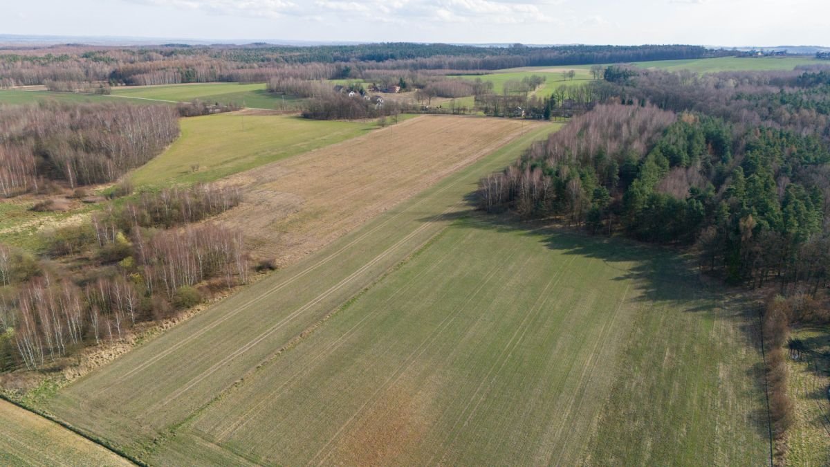 Działka rekreacyjna na sprzedaż Woźniki, Czarny Las, Czarny Las  14 911m2 Foto 8