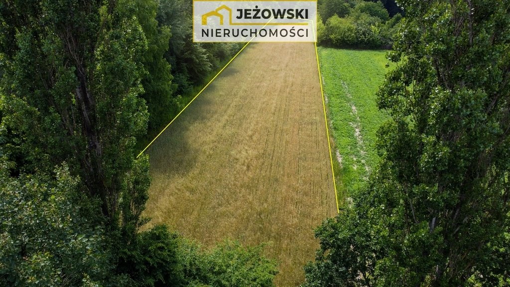 Działka budowlana na sprzedaż Kazimierz Dolny  3 378m2 Foto 9