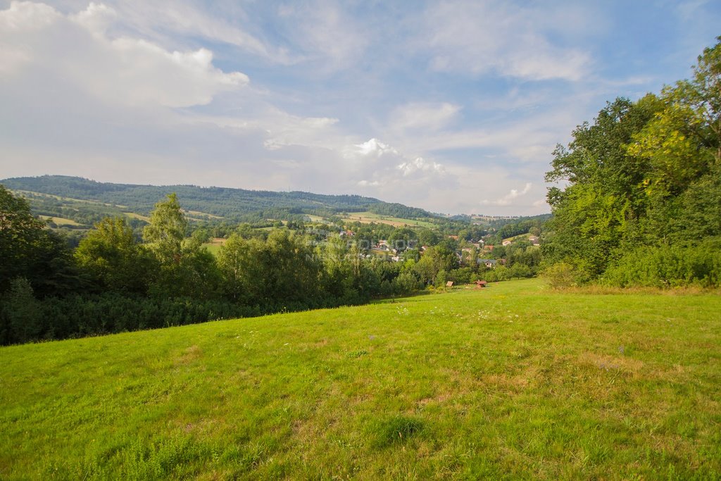 Lokal użytkowy na sprzedaż Dziwiszów  1 200m2 Foto 11