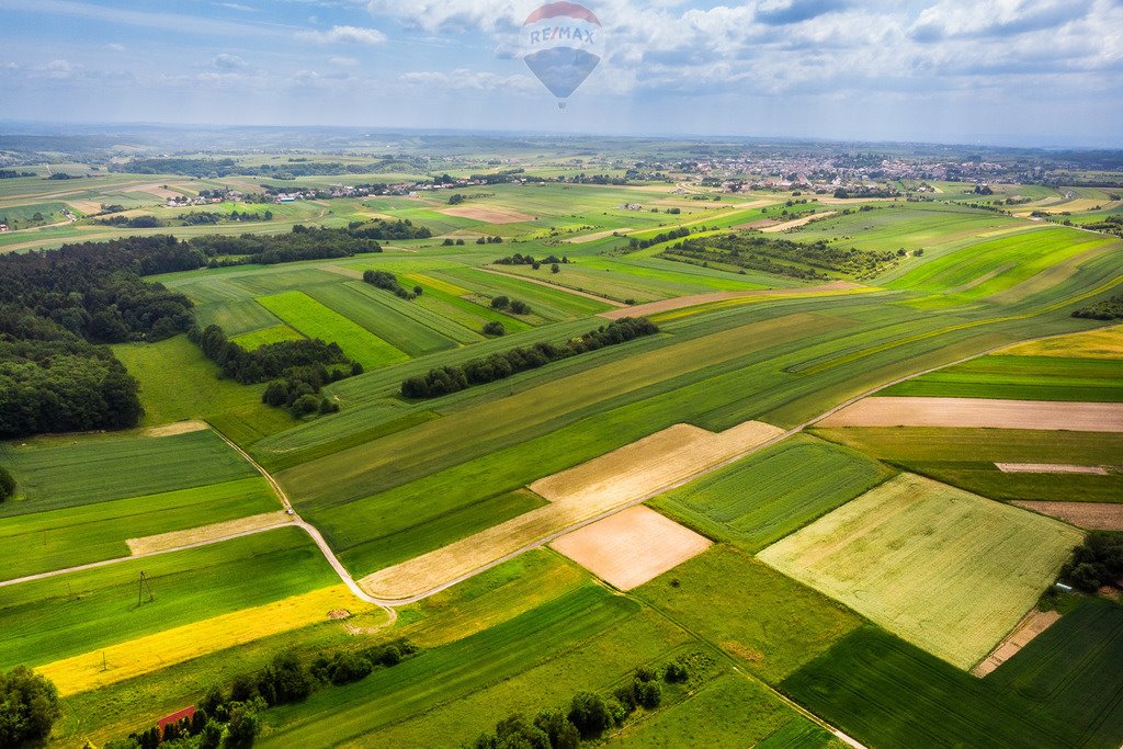 Działka inna na sprzedaż Skała  8 350m2 Foto 9