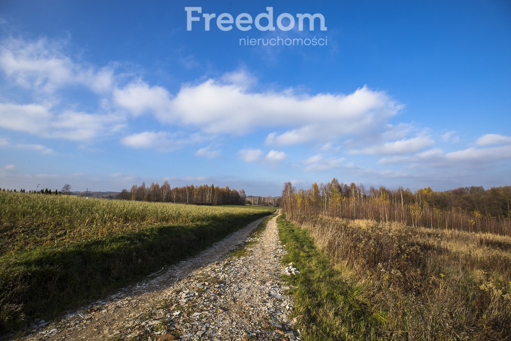 Działka budowlana na sprzedaż Rzeszów, Przybyszówka Górna, Leśne Wzgórze  3 585m2 Foto 10