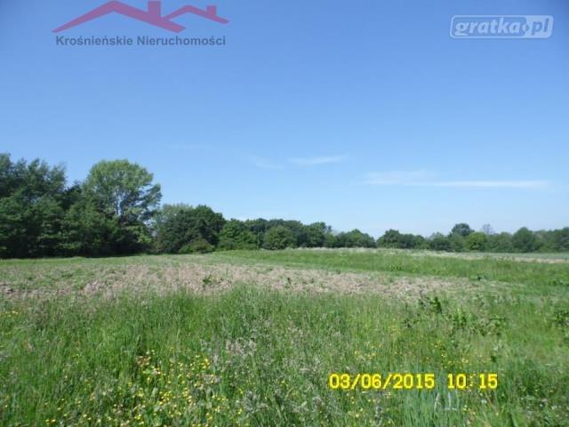 Sprzedam działkę 1000 m² z możliwością zabudowy w Świerzowej Polskiej Świerzowa Polska  1 000m2 Foto 1