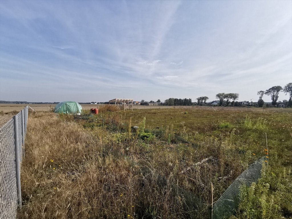 Działka budowlana na sprzedaż Lipka, Lipka  1 000m2 Foto 6