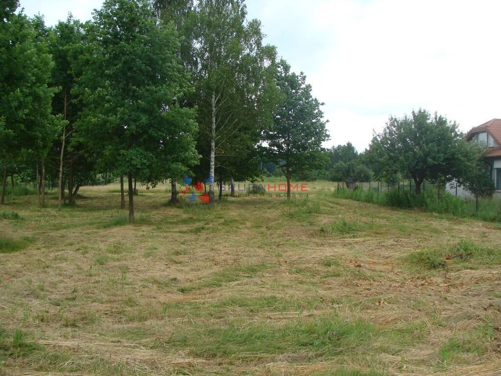 Działka budowlana na sprzedaż Piaseczno  20 000m2 Foto 3