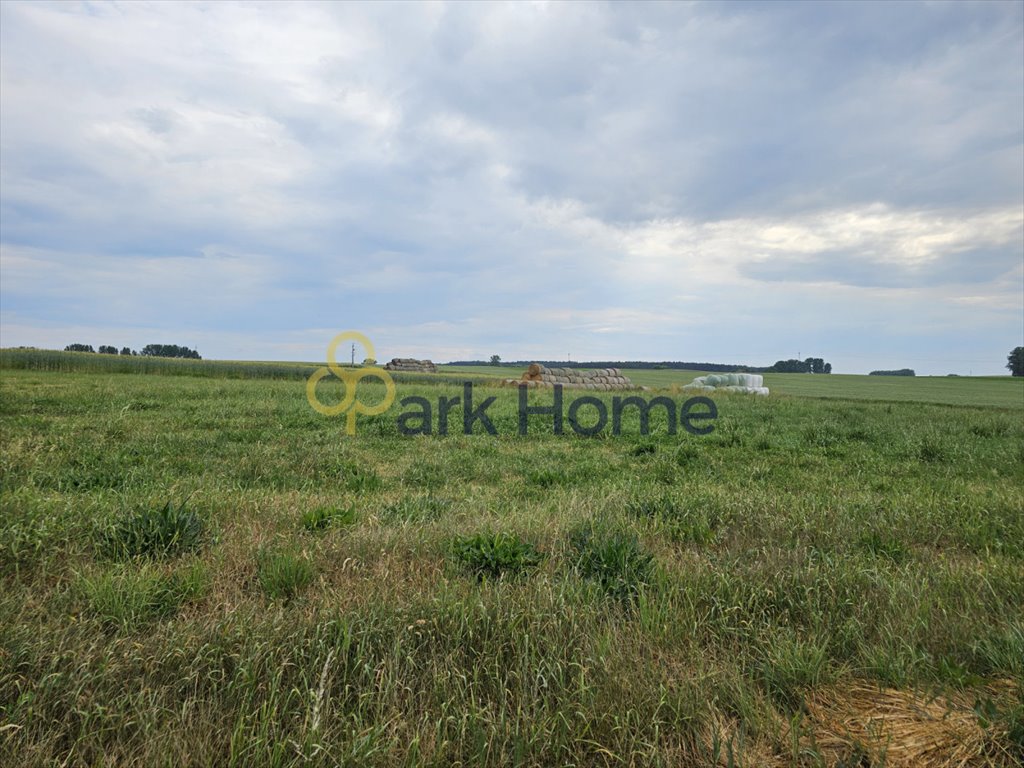 Działka budowlana na sprzedaż Gierłachowo  7 837m2 Foto 6