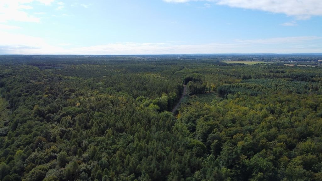 Działka leśna na sprzedaż Cieplice  10 300m2 Foto 1