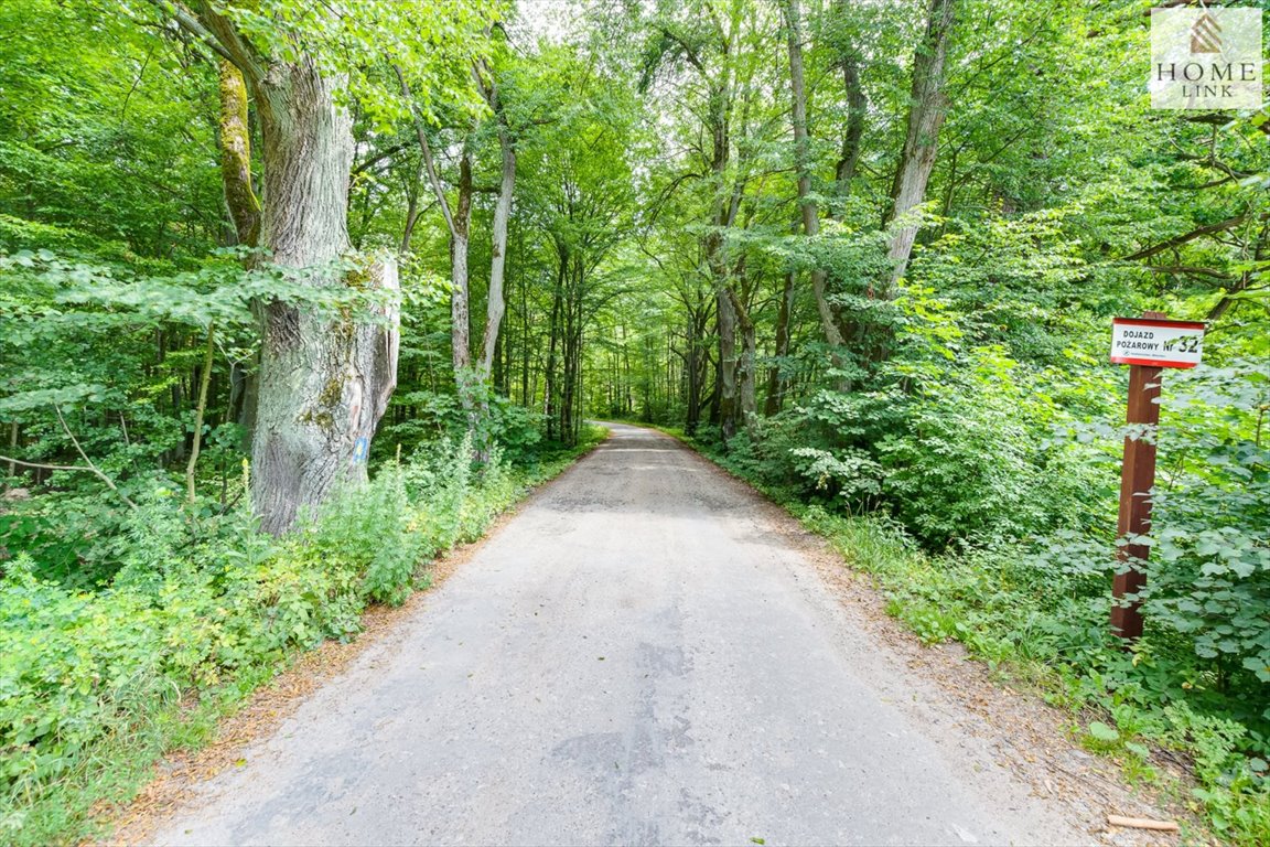 Działka budowlana na sprzedaż Liwa, Długa  983m2 Foto 7