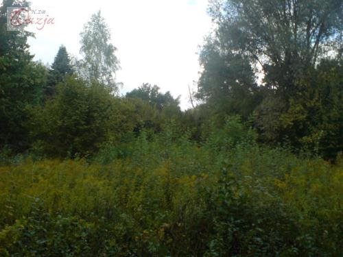 Działka inna pod dzierżawę Grodzisk Mazowiecki 6 829m2 Foto 1 Działka inna pod dzierżawę Grodzisk Mazowiecki 6 829m2 Foto 1