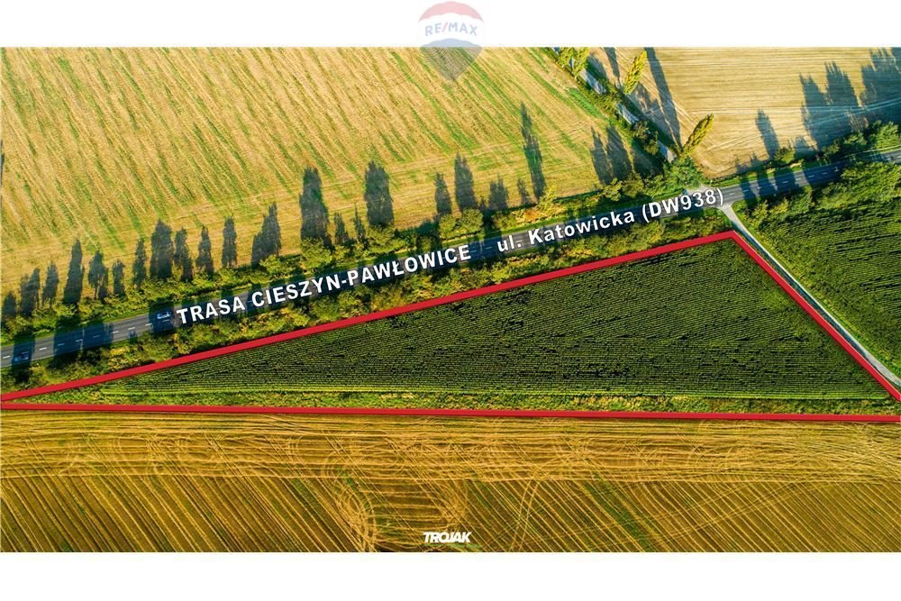 Działka komercyjna na sprzedaż Rudnik  12 316m2 Foto 2