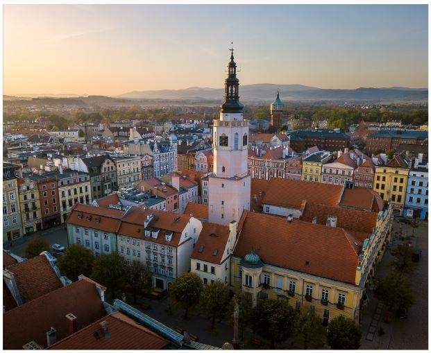 Lokal użytkowy na sprzedaż Świdnica, Wałbrzyska  631m2 Foto 2