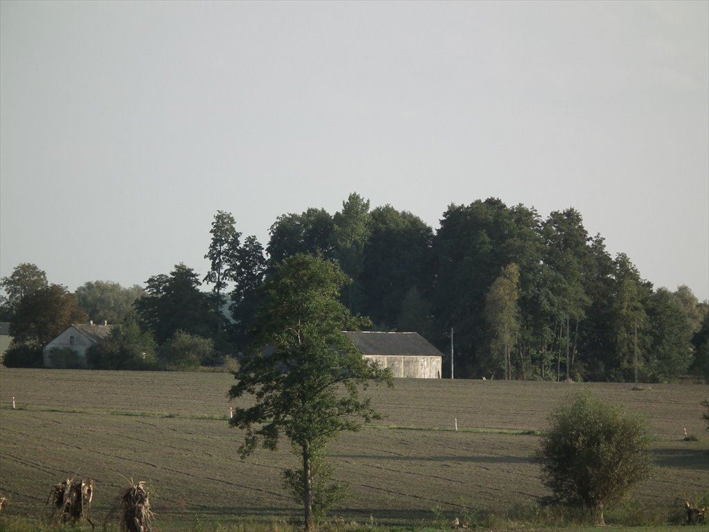 Działka siedliskowa na sprzedaż Bylice, Bylice  3 000m2 Foto 12