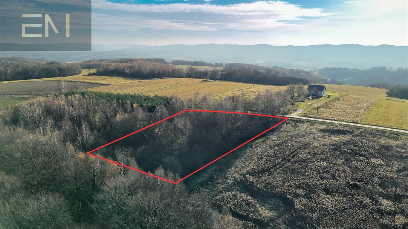 Widokowa działka 4,5 ha z mediami i lasami Niewodna  4 500m2 Foto 1