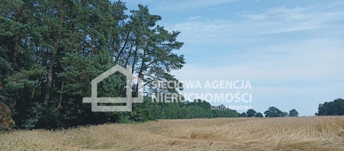 Działka rolna 32 911 m² w Wilkowie Nowowiejskim polecam Wilkowo Nowowiejskie  32 911m2 Foto 1