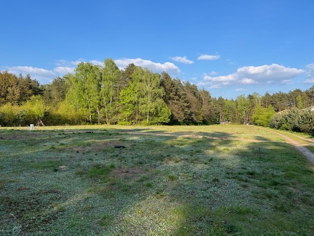 Działka budowlana na sprzedaż Rąbień AB, Przyjazna  3 684m2 Foto 6