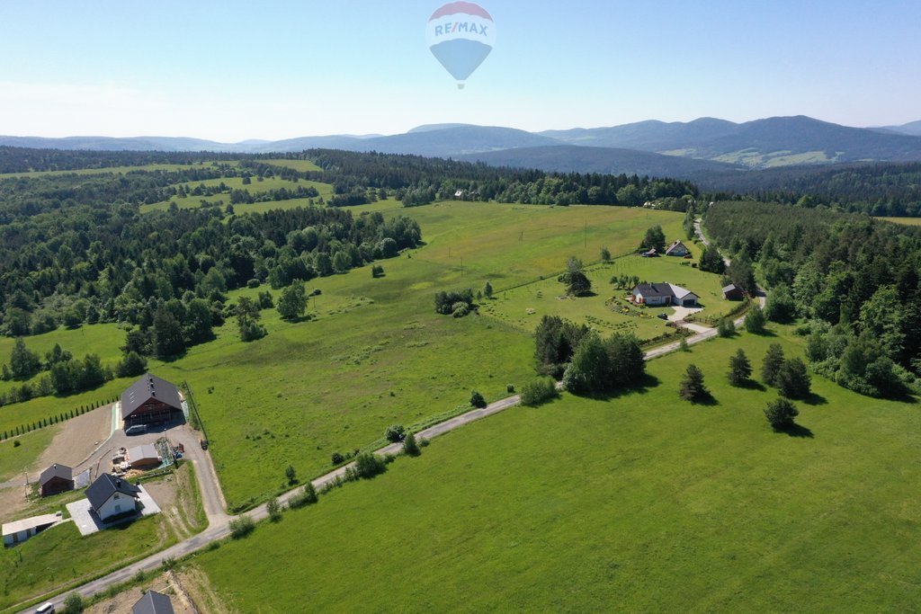 Działka budowlana na sprzedaż Nowica  12 000m2 Foto 3