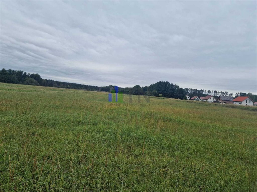 Działki budowlane przy lesie od 120 zł/m2 - inwestuj! Nowy Dwór  1 000m2 Foto 1