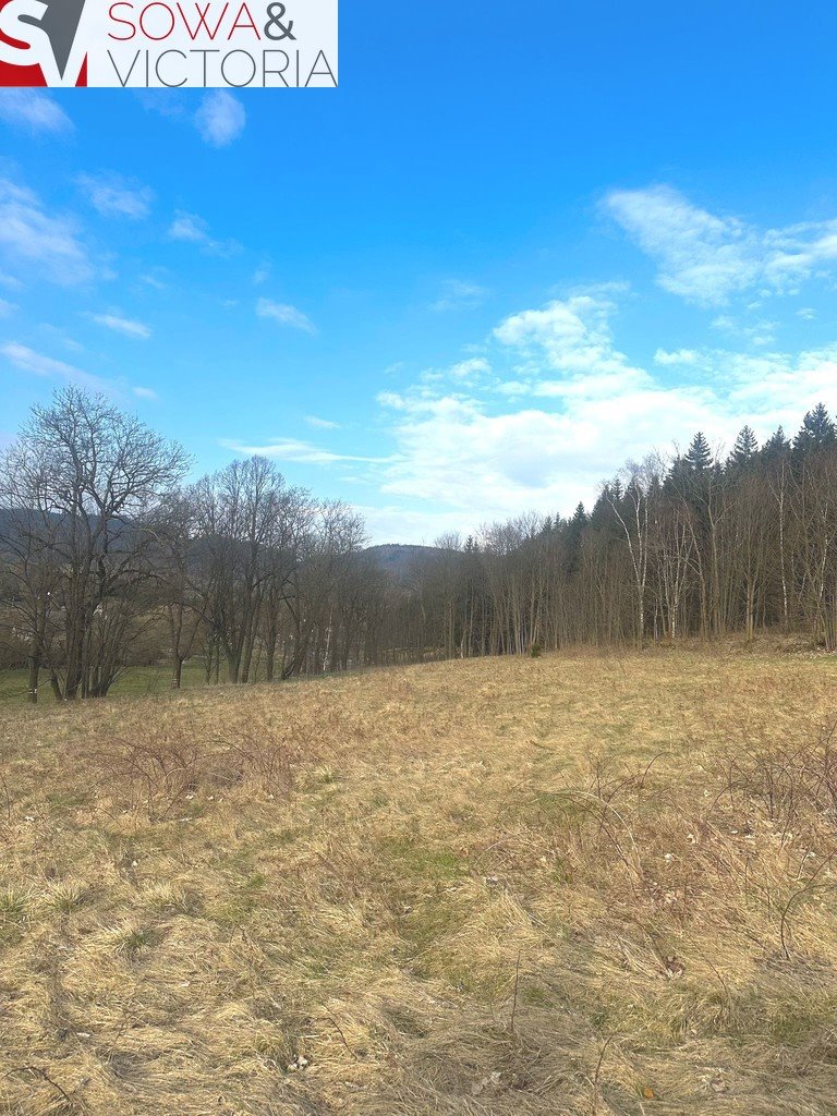 Działka budowlana na sprzedaż Leszczyniec  1 500m2 Foto 4