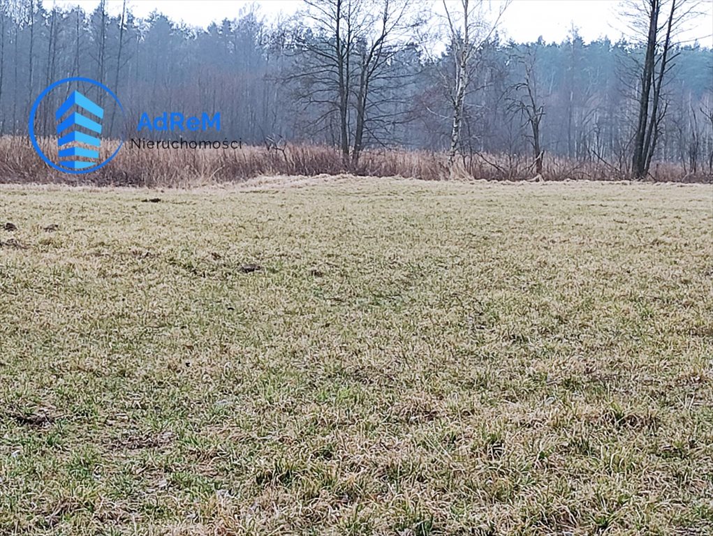 Działka budowlana na sprzedaż Nowy Prażmów  28 600m2 Foto 2