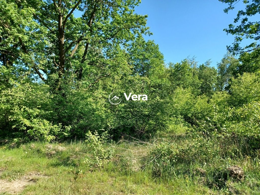 Działka 1000 m² pod zabudowę w Skarlinie — idealna na wypoczynek Skarlin  1 000m2 Foto 1