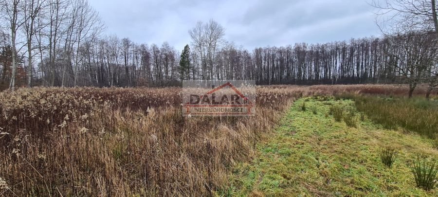 Działka budowlana na sprzedaż Sierzchów  1 500m2 Foto 4