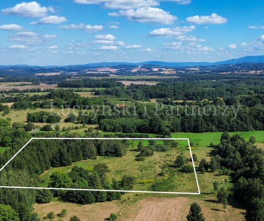 Działka 13 700 m² z warunkami zabudowy w Kłopotnicy Kłopotnica  13 700m2 Foto 1