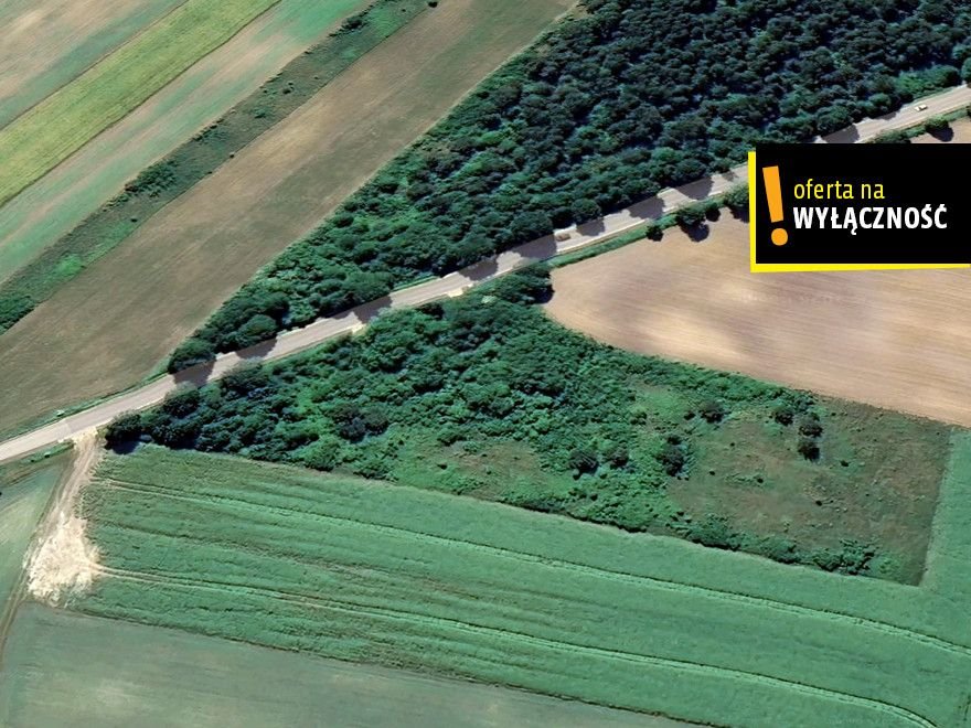 Działka rolna 11 000 m² z możliwością budowy w Wierzbie Wierzbie  11 000m2 Foto 1