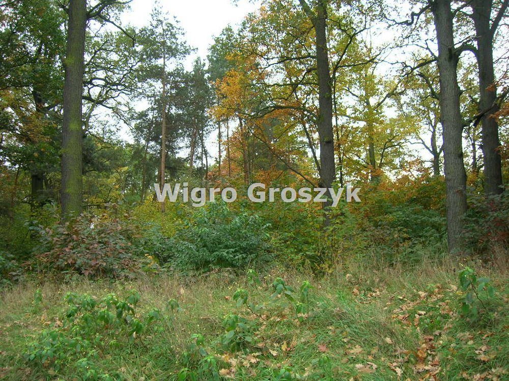 Działka usługowa 2561 m² w Aninie, zalesiona, dostęp do mediów Warszawa, Wawer, Anin  2 561m2 Foto 1