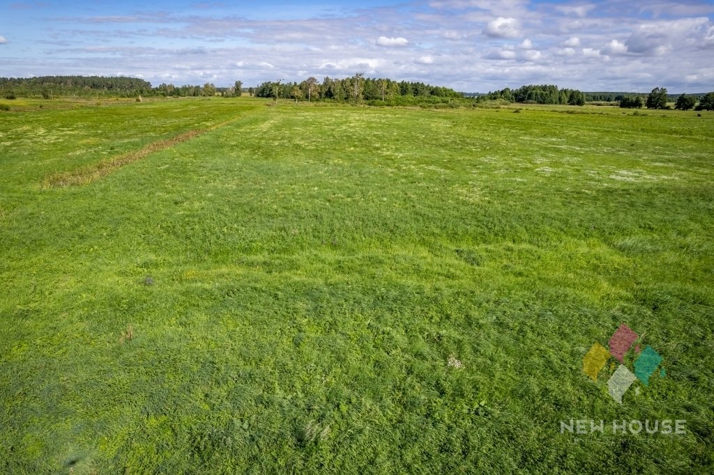 Działka budowlana na sprzedaż Tałty  169 500m2 Foto 9