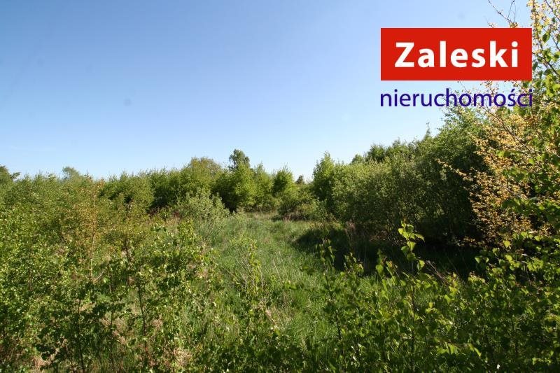Działka inna na sprzedaż Bielkówko, Gajowa 3 003m2 Foto 1 Działka inna na sprzedaż Bielkówko, Gajowa 3 003m2 Foto 1